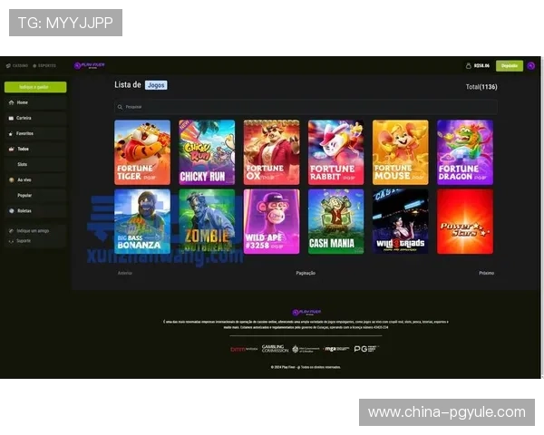 PG国际电子游戏app安全保障措施，确保玩家个人信息和资金安全无忧