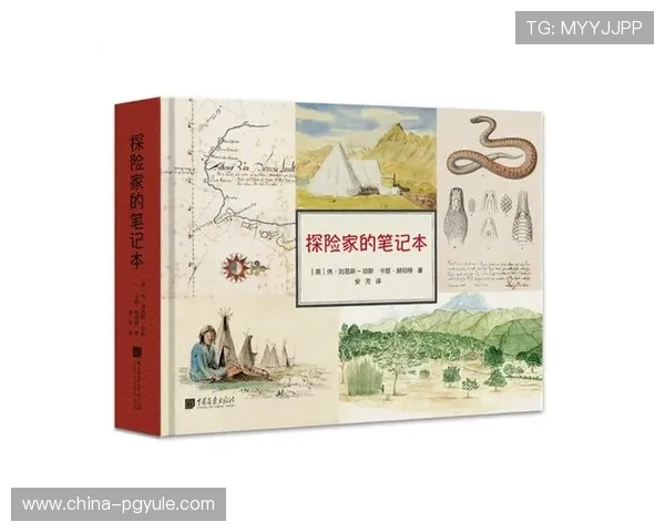 PG体育app官网入口链接大全，涵盖多平台多设备登录方式满足不同用户的使用需求