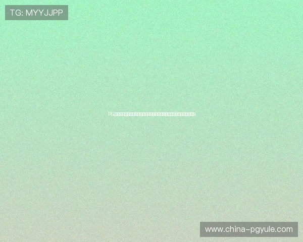 PG娱乐电子官方网站加强数据安全措施，确保玩家信息安全与交易安全无忧